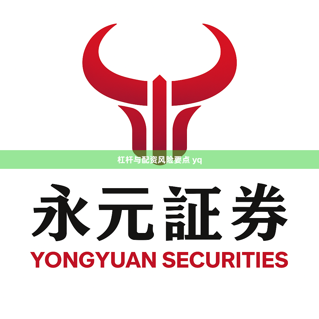 杠杆与配资风险要点 yq